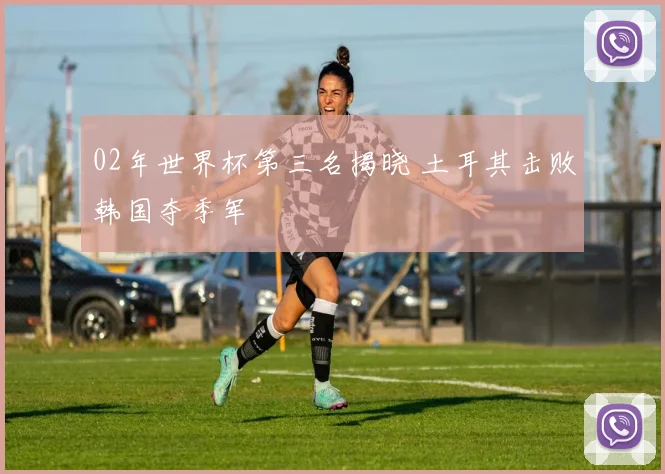 02年世界杯第三名揭晓 土耳其击败韩国夺季军