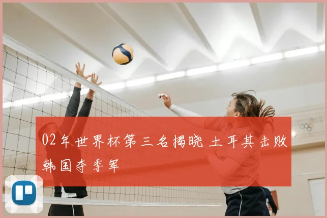 02年世界杯第三名揭晓 土耳其击败韩国夺季军