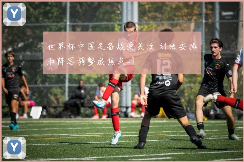 世界杯中国足备战受关注 训练安排和阵容调整成焦点_1