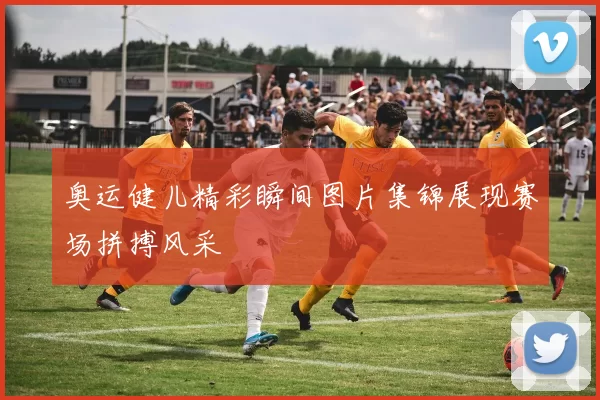 奥运健儿精彩瞬间图片集锦展现赛场拼搏风采